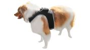 Enhanced GSM GPS Mini Pet Locator Tag Waterproof Dog/Cat Tracking Sys Size:M