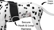 Enhanced GSM GPS Mini Pet Locator Tag Waterproof Dog/Cat Tracking Sys Size:M
