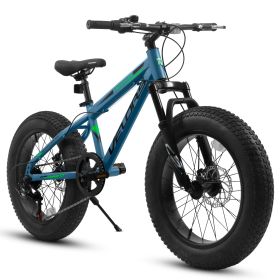 V20235 20 Inch Fat Tire Bike 7 Speed Mountain Bike, Dual Disc Brakes, High Carbon Steel Frame, Front Suspension, Mountain Buggy, City Commuter City Bi (Color: Blue)