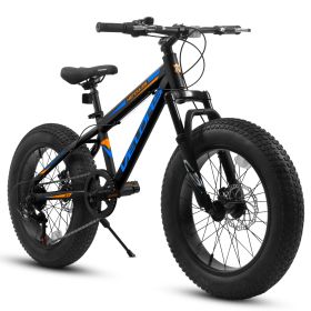 V20235 20 Inch Fat Tire Bike 7 Speed Mountain Bike, Dual Disc Brakes, High Carbon Steel Frame, Front Suspension, Mountain Buggy, City Commuter City Bi (Color: Black)