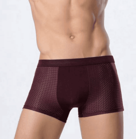 Ice silk men's underwear mesh boxer (Option: Red-4xl)